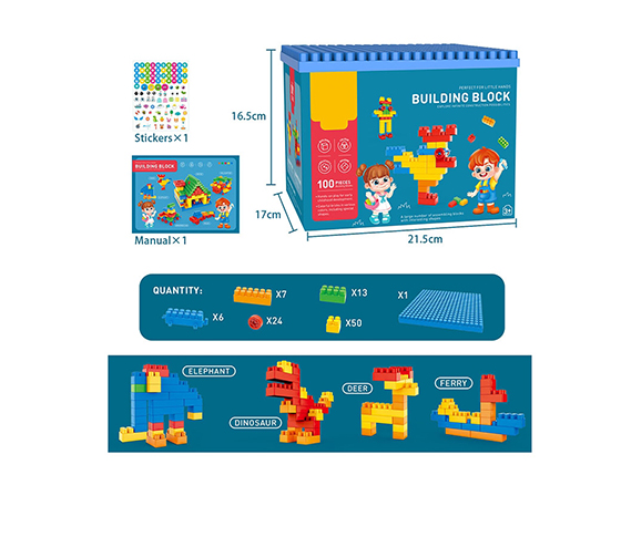 100PCS BLOCKS