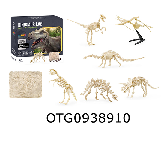 DINOSAUR SKELETON FOSSIL