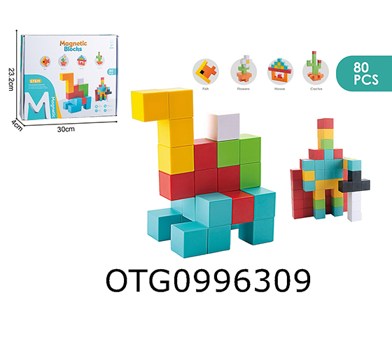 MAGNETIC BLOCKS
