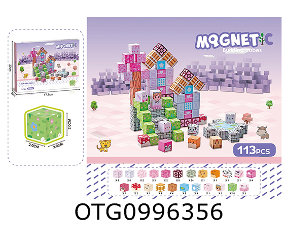 MAGNETIC BLOCKS