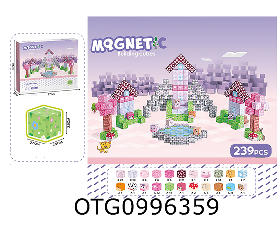 MAGNETIC BLOCKS