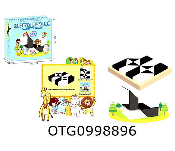 HIDDEN BLOCKS