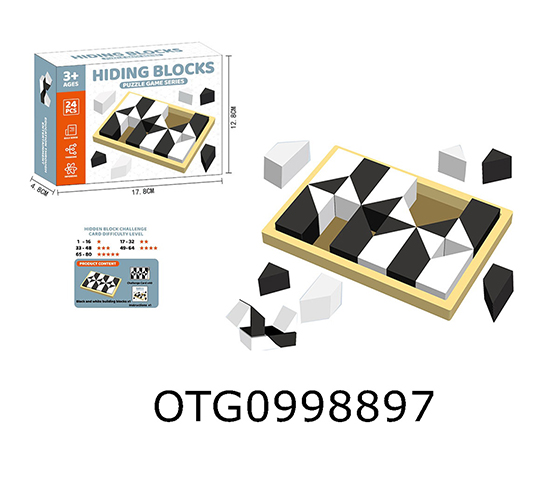 HIDDEN BLOCKS